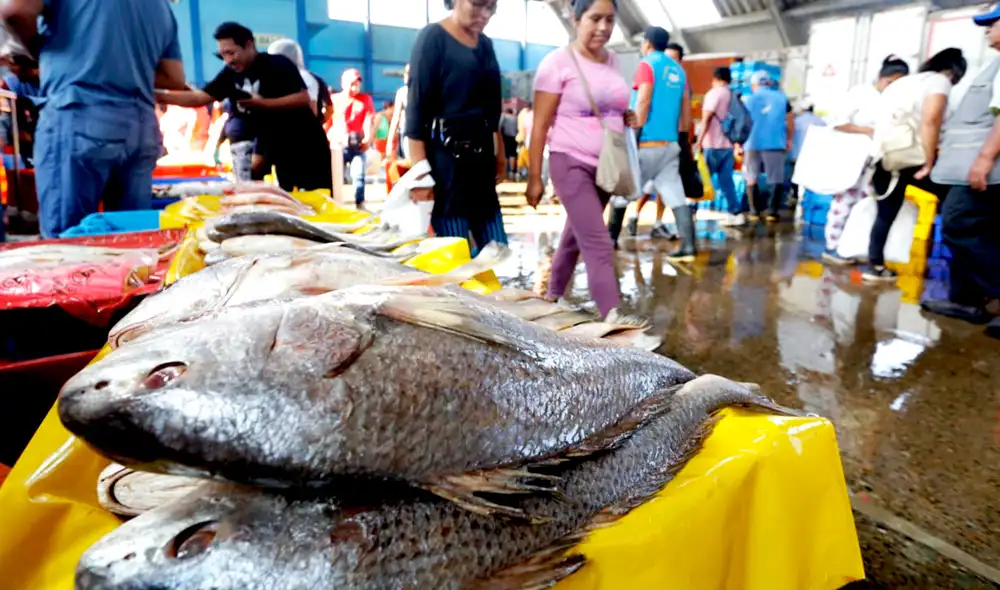 Terminal pesquero de VMT. Peruanos optan por consumir pescado en Semana Santa. Foto: Félix Contreras/LR Terminal pesquero de VMT. Peruanos optan por consumir pescado en Semana Santa. Foto: Félix Contreras/LR