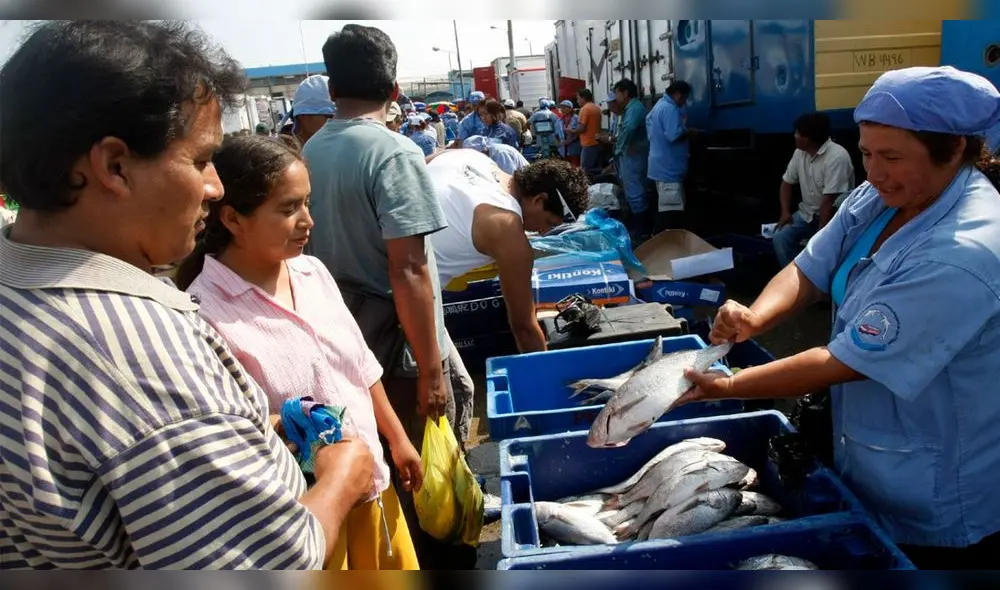 El olor marino del pescado es una señal de su buen estado. Foto: Andina