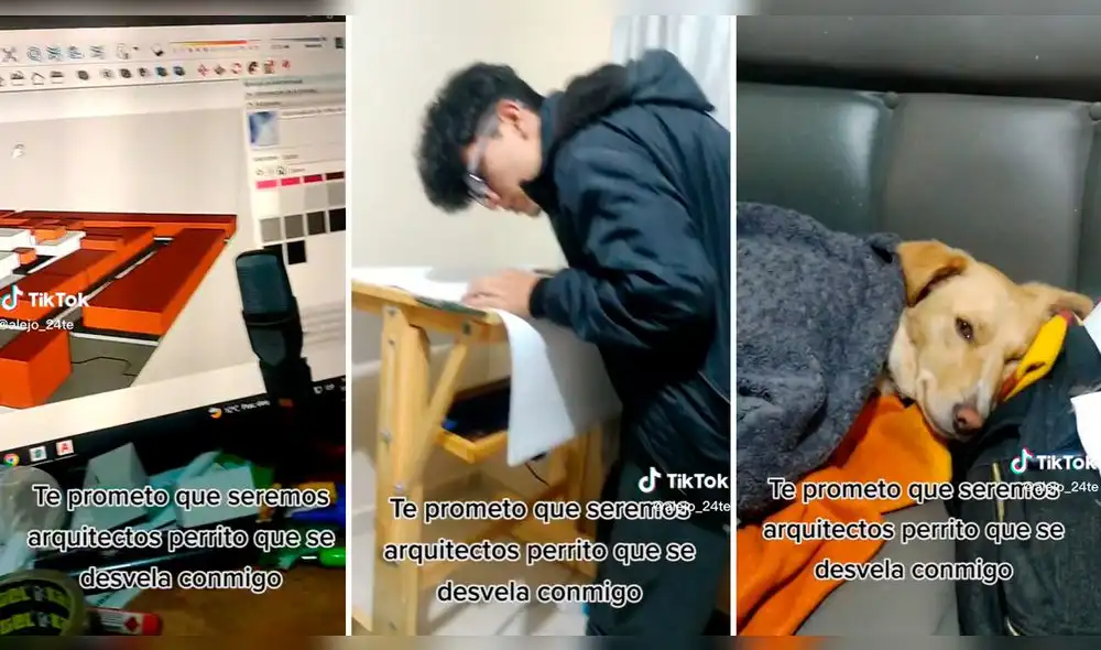 El video superó los 1,8 millones de reproducciones. Foto: composición LR/captura de TikTok/@Alejo_24te