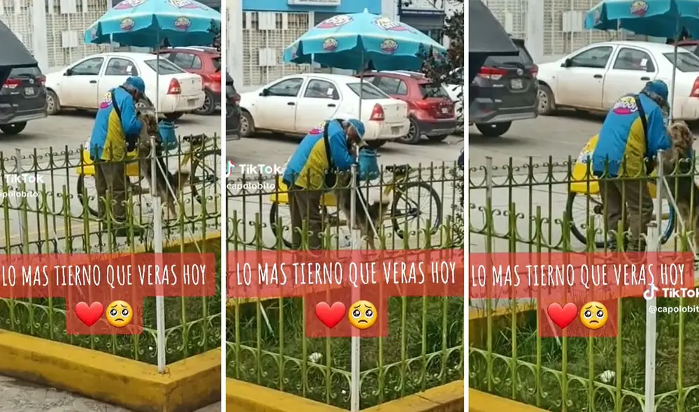 El video se hizo viral rápidamente, y los usuarios pidieron ubicar al anciano. Foto: TikTok/@copitolobo