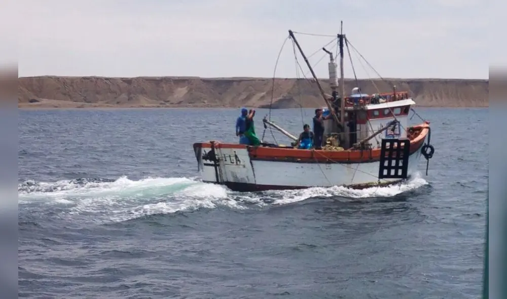 Actividades extractivas del recurso tiburón martillo terminarán cuando se alcance o se estime alcanzar el límite de 440 toneladas. Foto: Andina