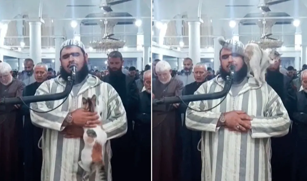 Lejos de asustarse o detener el taraweeh, el imán acarició al pequeño animal. Foto: composición LR/BBC News - Video: BBC News Lejos de asustarse o detener el taraweeh, el imán acarició al pequeño animal. Foto: composición LR/BBC News - Video: BBC News