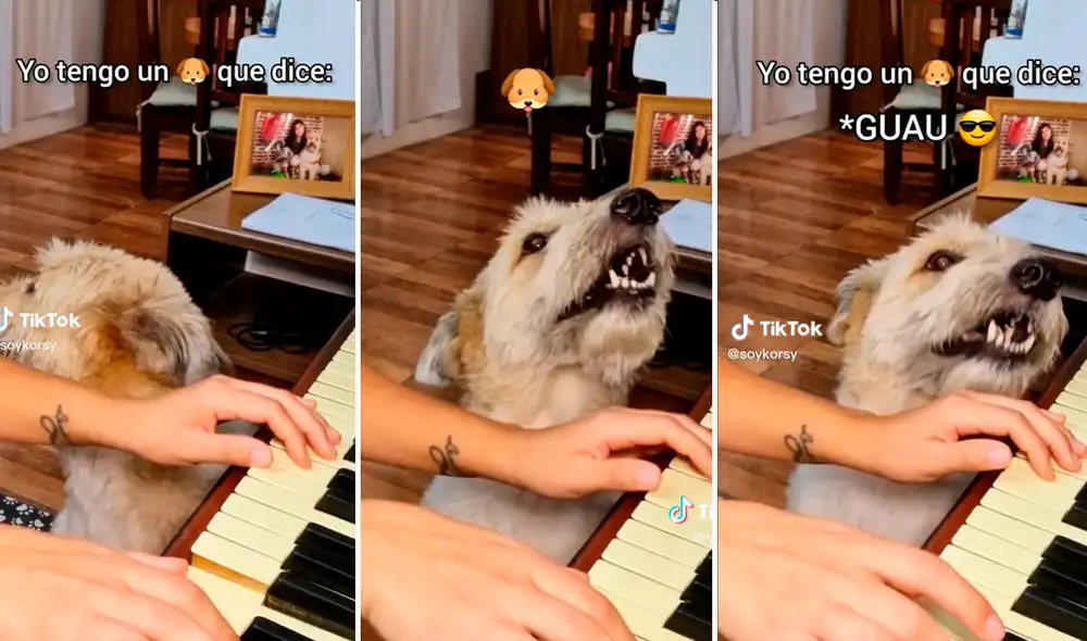 Video es tendencia en redes. Foto: Composición LR / TikTok