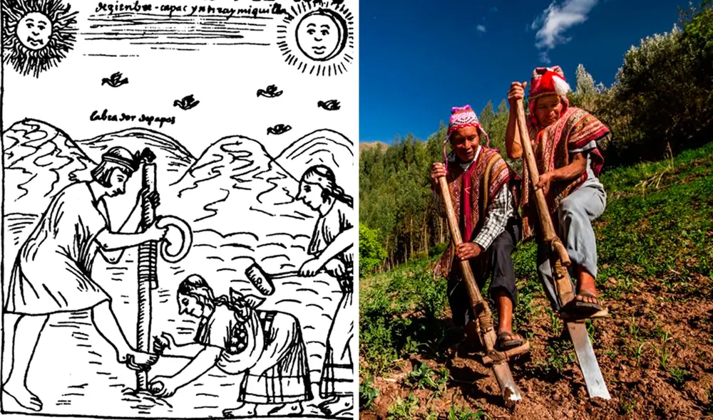 La chaquitaclla es conocido con otros nombres en diferentes partes del Perú. Foto: composición LR/Fao/Tierra de los yachaqs La chaquitaclla es conocido con otros nombres en diferentes partes del Perú. Foto: composición LR/Fao/Tierra de los yachaqs