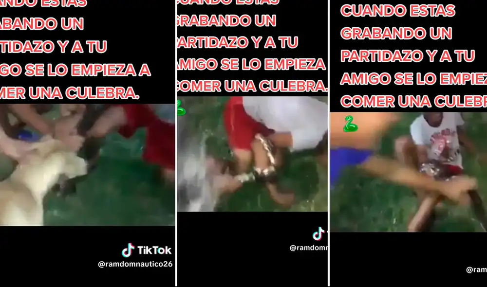 Es viral en redes sociales. Foto: Composición LR / TikTok