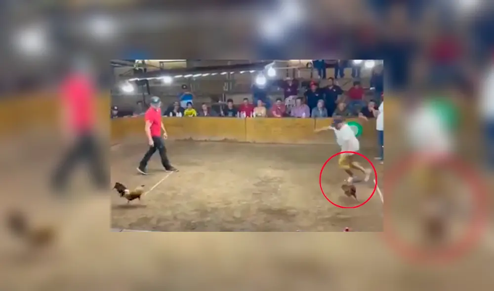 En 2018, Veracruz se convirtió en el primer estado en prohibir estas practicas para acabar con el maltrato animal. Foto: composición LR/captura de Clarín