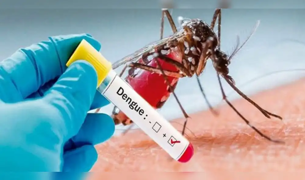 El Ministerio de Salud de Argentina alertó sobre el incremento de la cifra de contagiados por dengue y chikungunya. Foto: Composición LR.