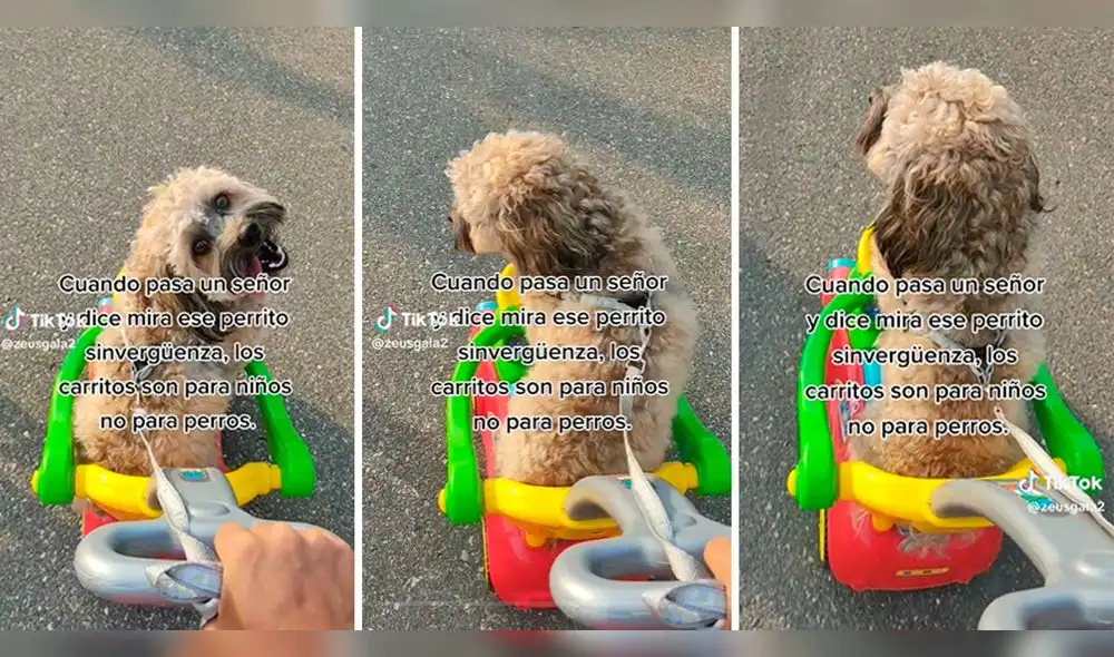 Mujer que pasea a su perrito en carrito de juguete es criticada por señor, pero internautas la defienden. Foto: composición LR/ captura de TikTok Mujer que pasea a su perrito en carrito de juguete es criticada por señor, pero internautas la defienden. Foto: composición LR/ captura de TikTok