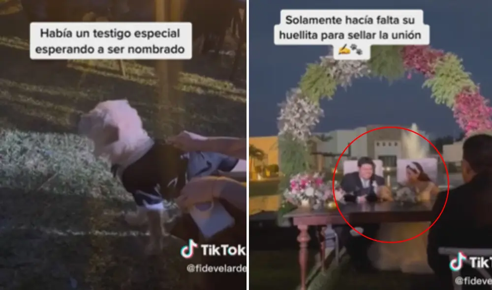 Miles quedaron cautivados con la escena. Foto: composición LR/TikTok Miles quedaron cautivados con la escena. Foto: composición LR/TikTok