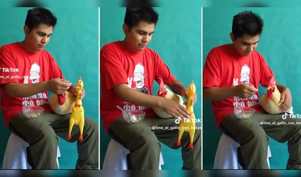 Gallo obedece a su dueño tras mostrarle truco con ave de juguete.  Foto: composición LR/ captura de TikTok