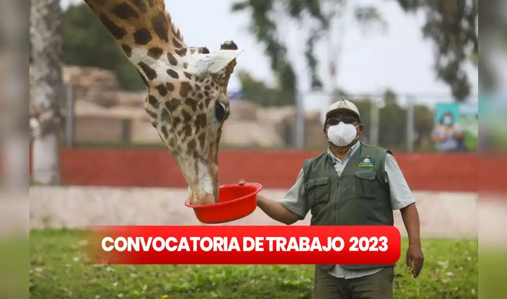 Convocatoria de trabajo en Parque de Las Leyendas: entérate AQUÍ cómo postular y hasta cuándo. Foto: Composición LR/ Andina Convocatoria de trabajo en Parque de Las Leyendas: entérate AQUÍ cómo postular y hasta cuándo. Foto: Composición LR/ Andina