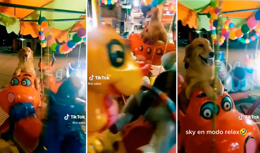 Con la lengua afuera, el can no oculta su felicidad de estar en los juegos mecánicos. Foto: composición LR / capturas de TikTok / @si.sabe Con la lengua afuera, el can no oculta su felicidad de estar en los juegos mecánicos. Foto: composición LR / capturas de TikTok / @si.sabe