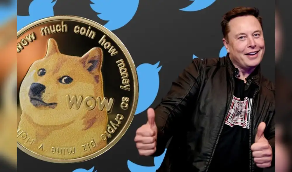 Las acciones de Dogecoin y Elon Musk subieron como la espuma tras el cambio de logo de Twitter. Foto: difusión