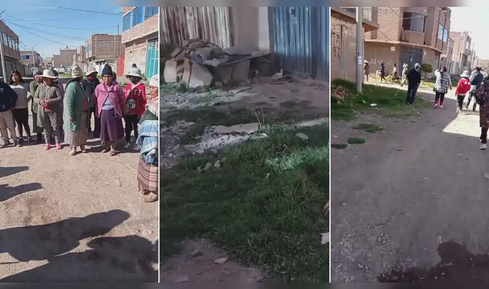 Perritos duermen fuera de las viviendas. Foto: composición LR/captura de Radio Onda Azul