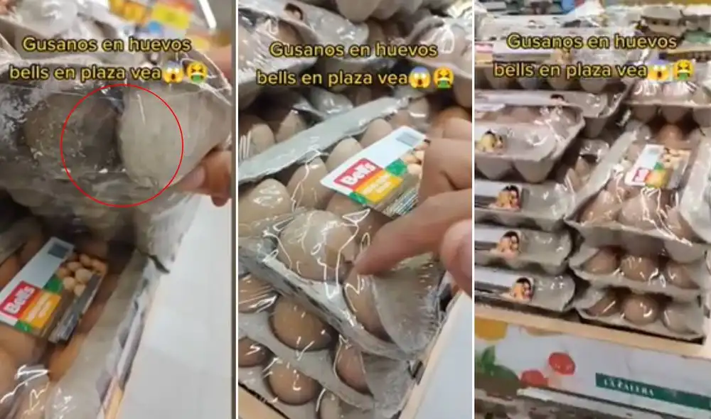 Miles quedaron impresionados al ver este video viral. Foto: composición LR/TikTok Miles quedaron impresionados al ver este video viral. Foto: composición LR/TikTok