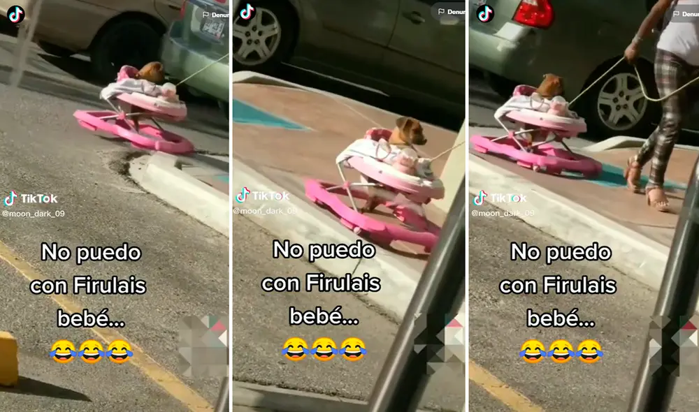 Miles de personas aplaudieron el gran amor hacia la mascota. Foto: composición LR/TikTok/@Bulma_Moon Miles de personas aplaudieron el gran amor hacia la mascota. Foto: composición LR/TikTok/@Bulma_Moon