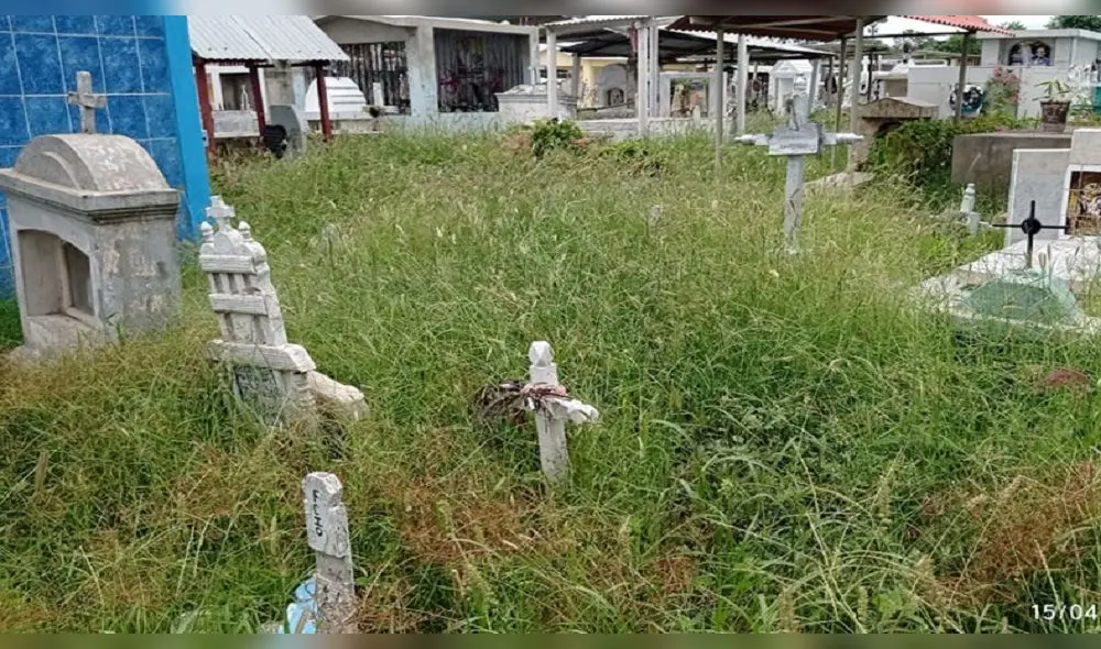 Cementerio luce lleno de maleza. Foto: Diario La Hechicera