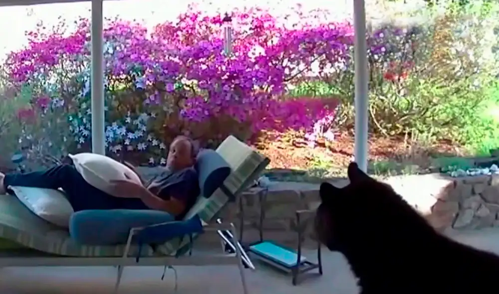 El encuentro quedó registrado por las cámaras de seguridad de la casa. Foto: captura de Noticias Telemundo El encuentro quedó registrado por las cámaras de seguridad de la casa. Foto: captura de Noticias Telemundo