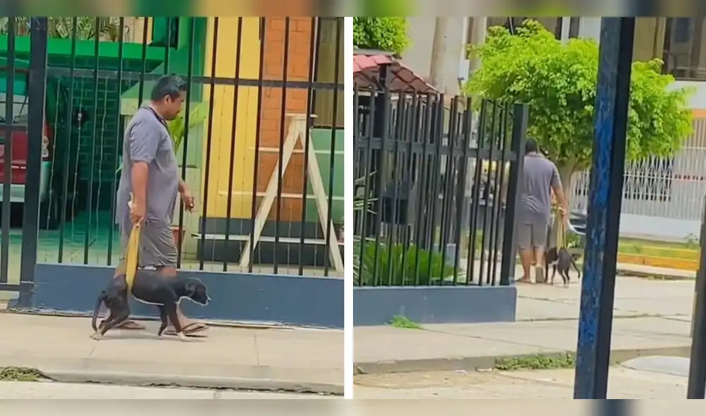 Usuarios se solidarizan con el señor para ayudar al perrito. Foto: composición LR/ captura de TikTok