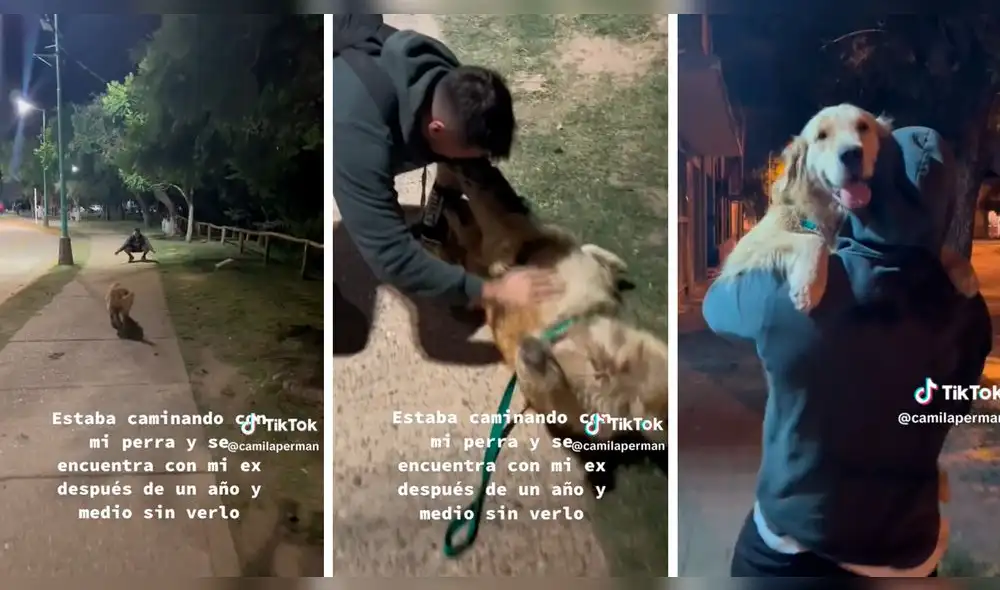 El video superó las 6,4 millones de reproducciones. Foto: composición LR/captura de TikTok/@CamilaPerman El video superó las 6,4 millones de reproducciones. Foto: composición LR/captura de TikTok/@CamilaPerman