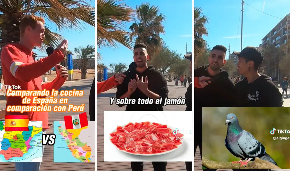 Joven tuvo sorpresiva respuesta sobre la comida peruana y las redes no soportaron. Foto: composición LR / capturas de TikTok  / @elgringerr