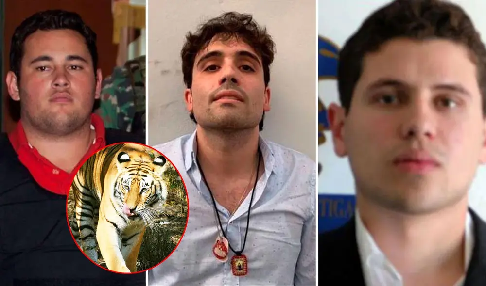 Los herederos del 'Chapo' Guzmán habría realizado viles actos en contra de sus enemigos. Foto: composición LR/El País/AFP Los herederos del 'Chapo' Guzmán habría realizado viles actos en contra de sus enemigos. Foto: composición LR/El País/AFP