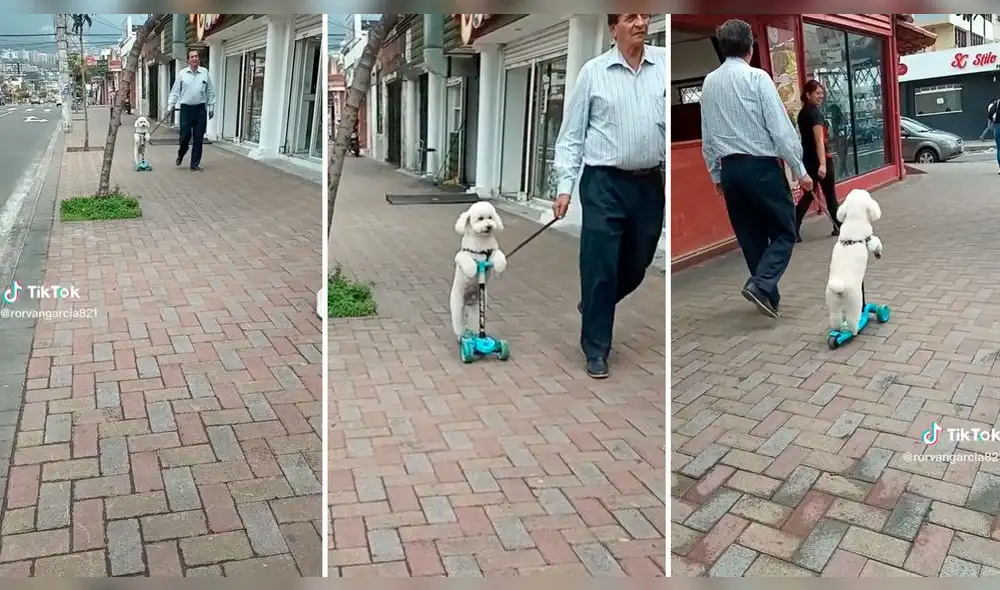 El video superó las 3 millones de reproducciones. Foto: composición LOL/captura de TikTok/@RorvanGarcia821