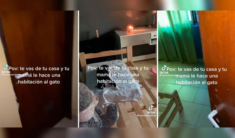 El gatito se encuentra sobre la cama mientras la joven abre la puerta. Foto: composición LR/ captura de TikTok El gatito se encuentra sobre la cama mientras la joven abre la puerta. Foto: composición LR/ captura de TikTok