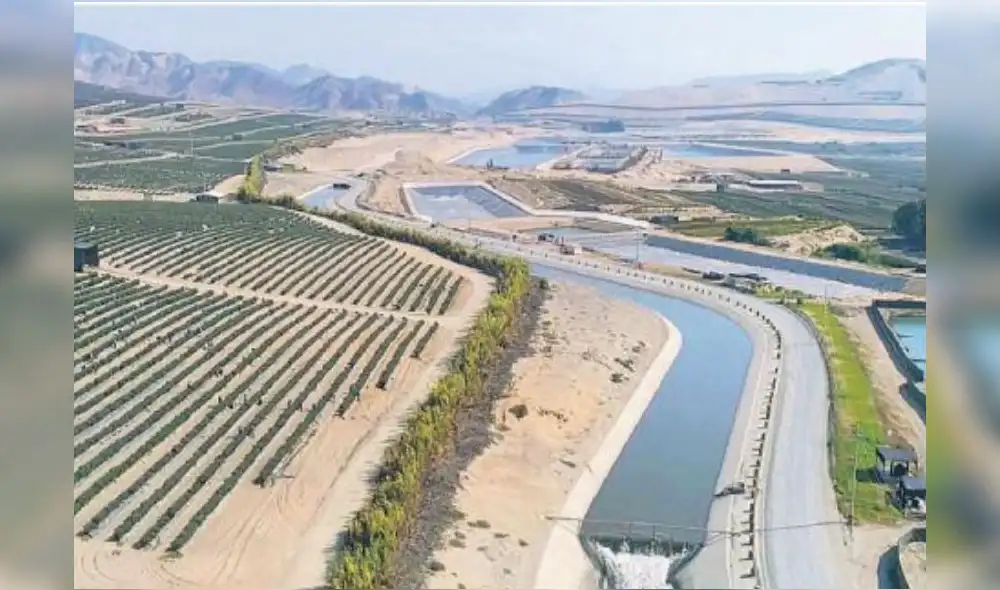 Nuevas hectáreas de cultivo del Pech en espera. Foto: La República