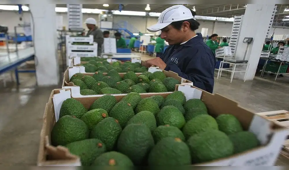 Resiliencia. El empresariado sigue apostando por lograr una economía más sostenible. Foto: La República