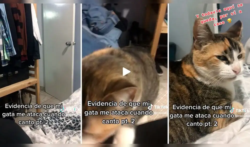 El video superó lo 10,2 millones de reproducciones. Foto: composición LR/captura de TikTok/@Rovazbo