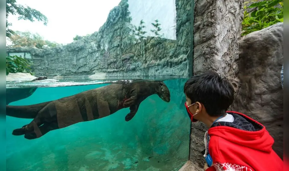 Viernes 28 de abril  muchos peruanos tendrán un día descanso adicional en el Perú | Foto: ANDINA