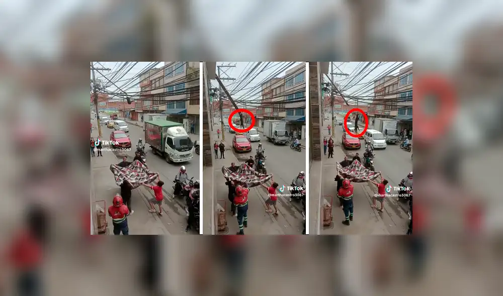 El video acumula más de 1,1 millones de vistas. Foto: composición LR/TikTok El video acumula más de 1,1 millones de vistas. Foto: composición LR/TikTok