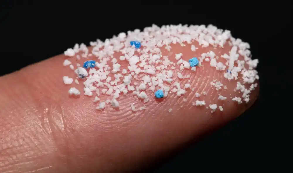 Científicos sugieren que los nanoplásticos también se podrían hallar en el cerebro de los humanos. Foto: University of San Diego