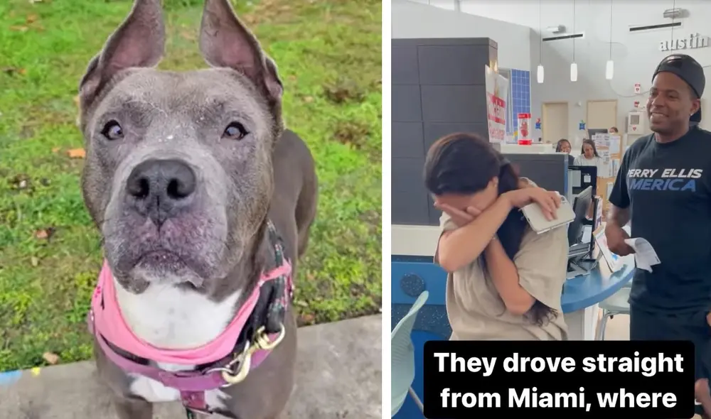 Casi un año después, Juicee se reunió con su familia. Foto: composición LR/ captura de Austin Animal Center/Facebook