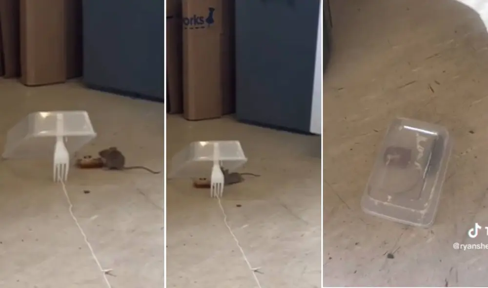 Miles quedaron impactados al ver esta escena. Foto: composición LR/TikTok Miles quedaron impactados al ver esta escena. Foto: composición LR/TikTok