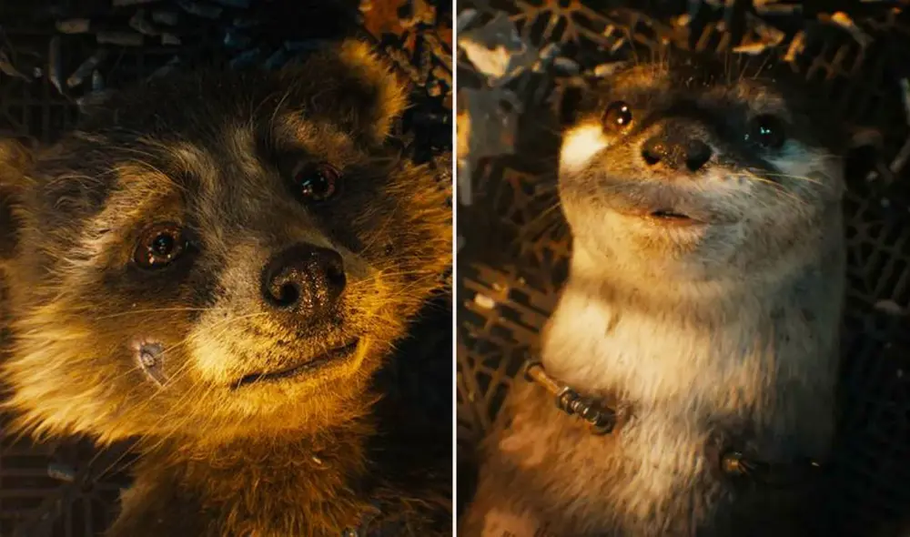 "Guardianes de la galaxia 3" será la última película de la saga y dirá adiós a James Gunn junto con todo el elenco. Foto: composición LR/Marvel Entertainment