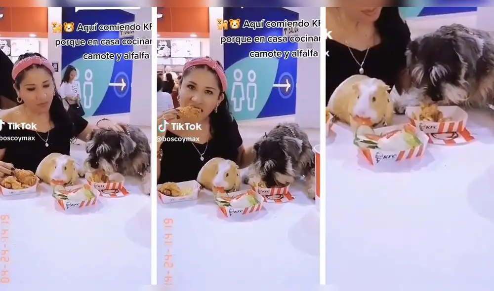 El video cautivó a los internautas y logró acumular más de 300.000 reproducciones. Foto: captura TikTok/@boscoymax El video cautivó a los internautas y logró acumular más de 300.000 reproducciones. Foto: captura TikTok/@boscoymax