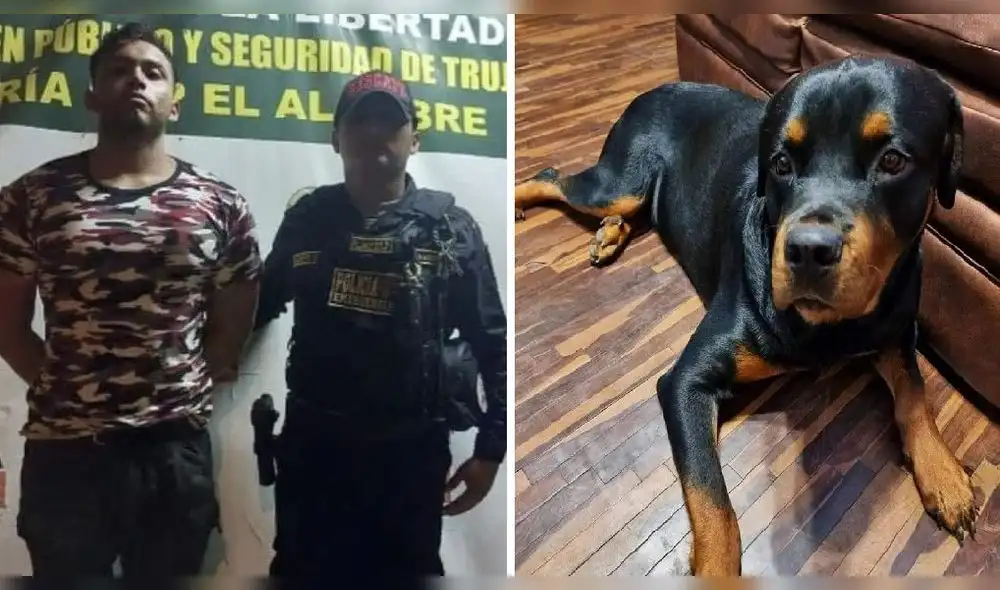 Sujeto mató a perro en febrero de este año. Foto: Ozono Televisión