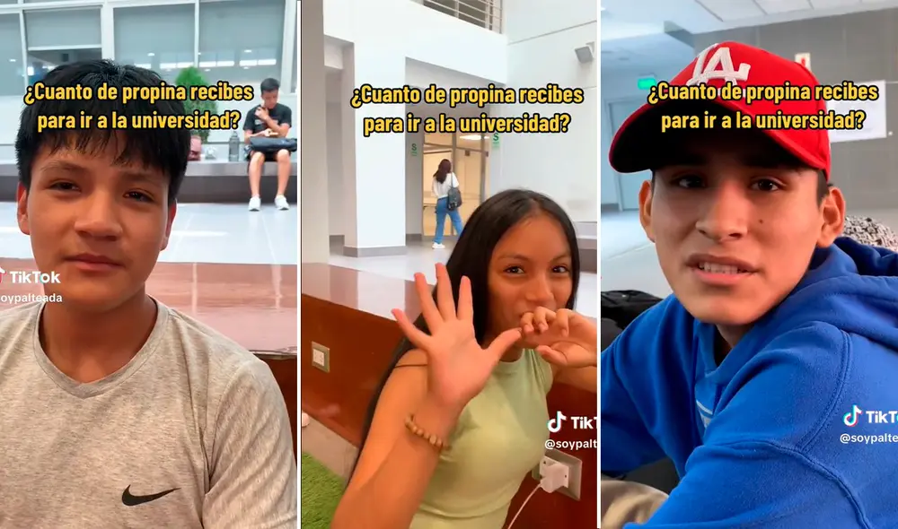Continúa la tendencia de entrevistas a estudiantes universitarios. Foto: composición LR/capturas de TikTok/@soypalteada