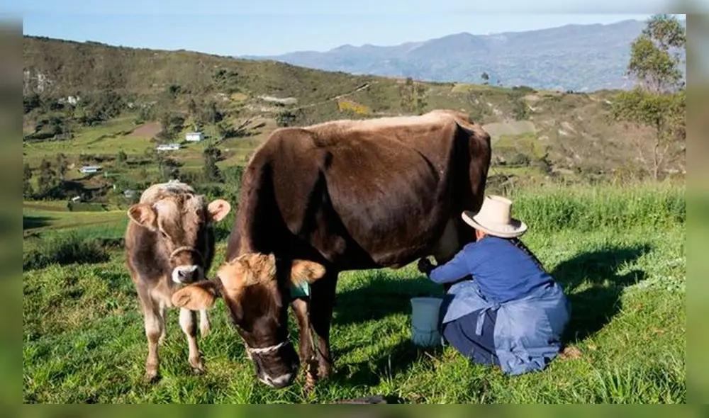 Grupo de trabajo amplió su vigencia hasta el 29 de abril de 2024. Foto: Midagri