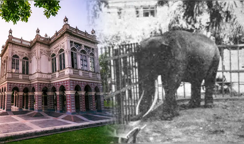 A fines del siglo XIX e inicios del XX, las áreas del Parque de la Exposición comprendían un zoológico. Foto: composición de Fabrizio Oviedo / La República A fines del siglo XIX e inicios del XX, las áreas del Parque de la Exposición comprendían un zoológico. Foto: composición de Fabrizio Oviedo / La República