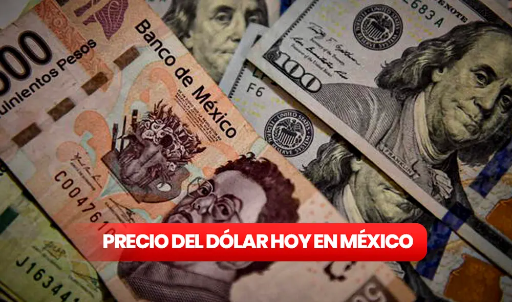 Precio del dólar en México para hoy, martes 2 de mayo. Foto: composición LR/AFP