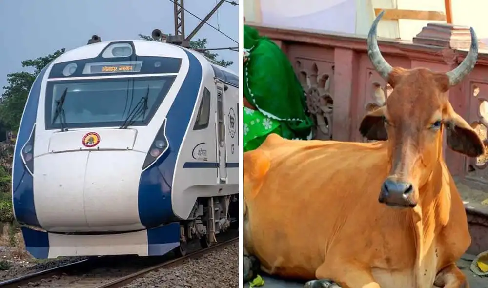 Las autoridades señalaron que tomara medidas para mantener a las vacas alejada de las vías del tren. Foto: composición LR/Dinesh Hukmani /Pixibay