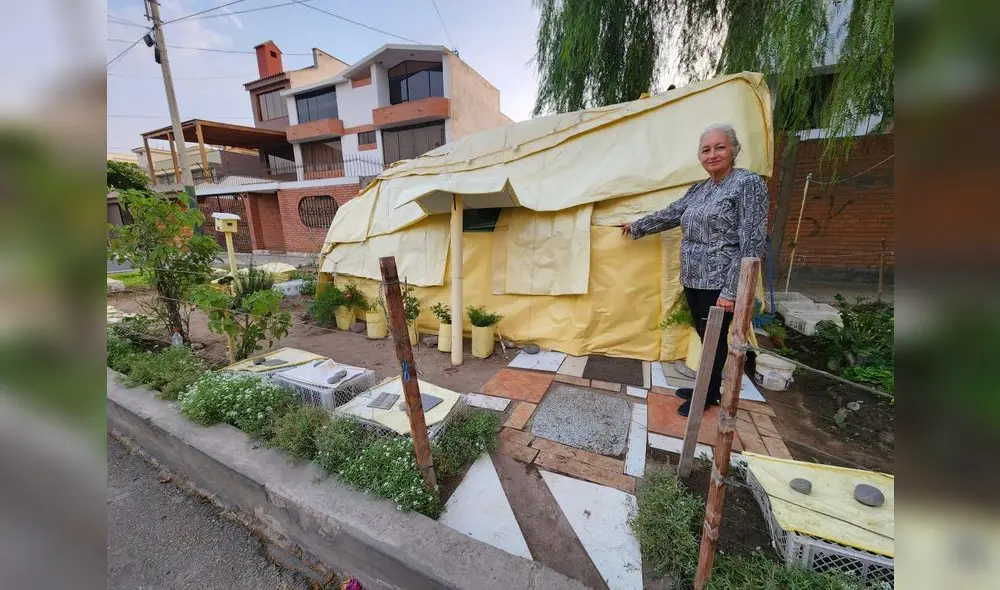 Amelia Chávez ha creado su inmueble con papel y trabajo arduo. Foto: Bella Alvites/La República Amelia Chávez ha creado su inmueble con papel y trabajo arduo. Foto: Bella Alvites/La República
