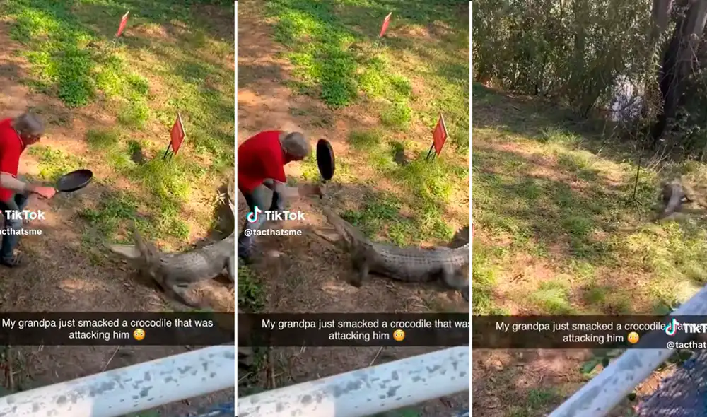 Singular escena que protagonizó el señor se volvió viral en redes sociales. Foto: composición LR/capturas de TikTok/@tacthasme