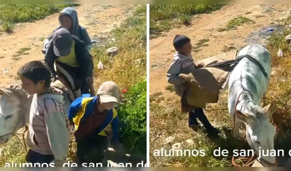 Niños demuestran su alegría a pesar de las dificultades. Foto: captura TikTok