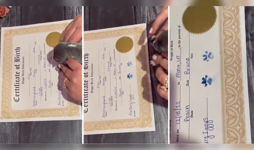 Algunos usuarios no estuvieron de acuerdo con la acción. Foto: composición LR/ Twitter Algunos usuarios no estuvieron de acuerdo con la acción. Foto: composición LR/ Twitter