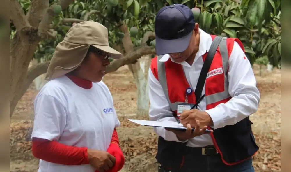 Trabajadores que salieron de la informalidad son de agricultura, construcción, comercio, entre otros. Foto: Sunafil Trabajadores que salieron de la informalidad son de agricultura, construcción, comercio, entre otros. Foto: Sunafil