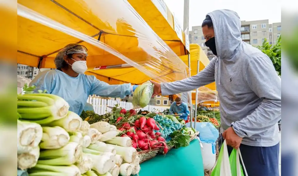 El precio del apio aumentó 84,10% en abril. Foto: Andina El precio del apio aumentó 84,10% en abril. Foto: Andina